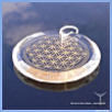 Blume des Lebens